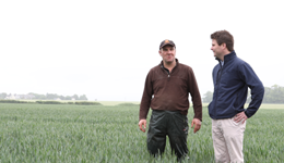 Grasp the nettle and be ready for change